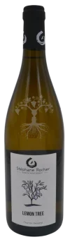 Lemon Tree Stephane Rocher