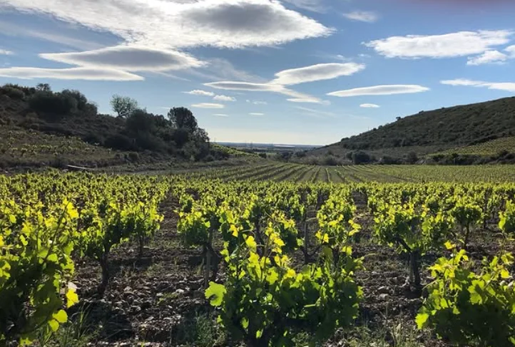 La Spanda Virgine Maignien