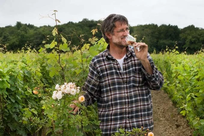 Domaine Colin Côteaux du Vendômois