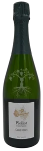 Champagne Colas Robin Piollot