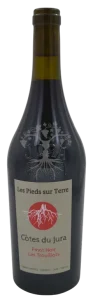 Pinot noir Les Trouillots Valentin Morel