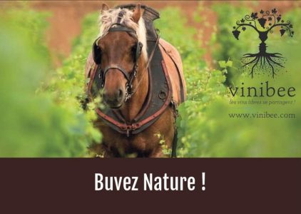 carte cadeau vin vivant - vinibee