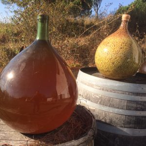 Didier Chaffardon - vin orange - Chenin - Vinibee