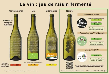 du-vin-conventionnel-au-vin-naturel-infographie-avn