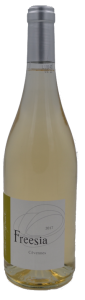 Freesia blanc 2017 - Mas d Espanet
