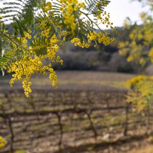 La Caisse qui cartonne en fevrier