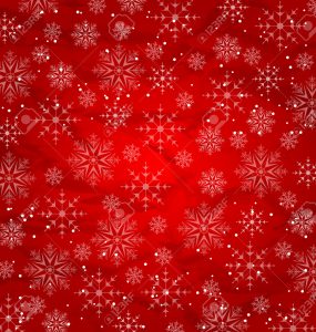 La hotte du Père Noël Vinibee - vins bio - vins naturels - vins pour les fêtes