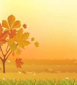 La Caisse de 6 qui Cartonne en Septembre - vins naturels - Vinibee